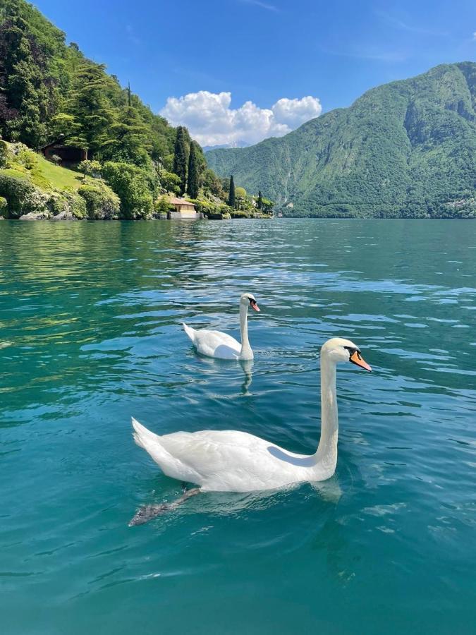 Casacamelia 35, 3 Bdrm With View Lake Como Lägenhet Acquaseria Exteriör bild